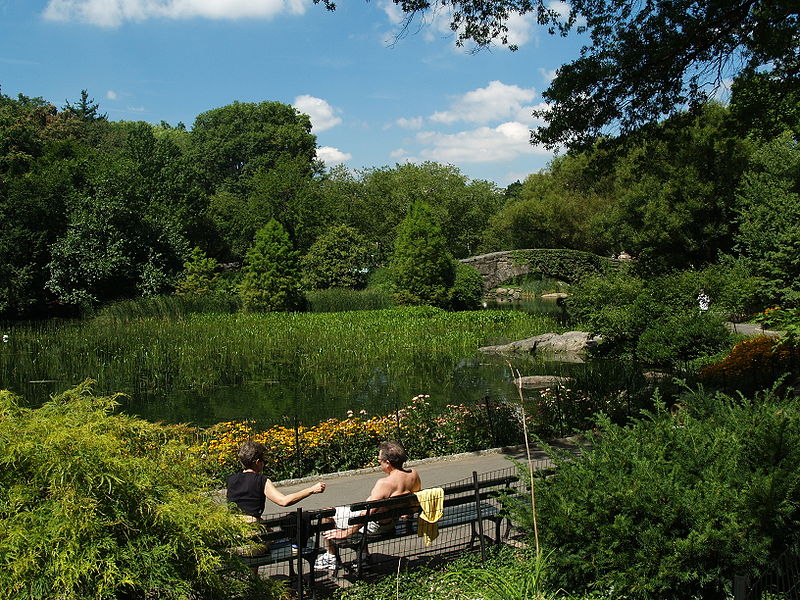 File:Lower Central Park Shot 3.JPG